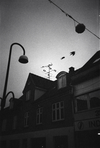 Untitled-496